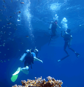 Divers surfacing from a dive in the Red Sea